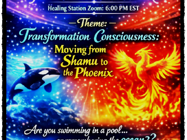 Transformation Consciousness: Moving from Shamu to the&nbsp;Phoenix