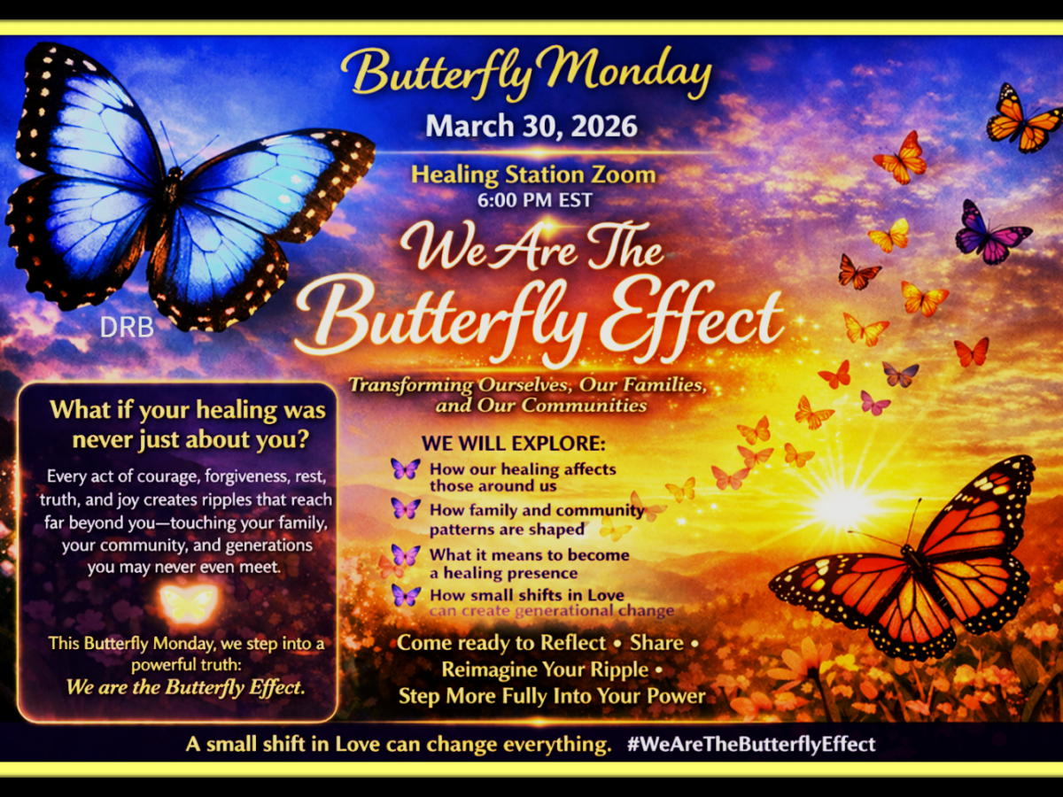 We Are The Butterfly Effect: Transforming ourselves, our families, and our&nbsp;communities