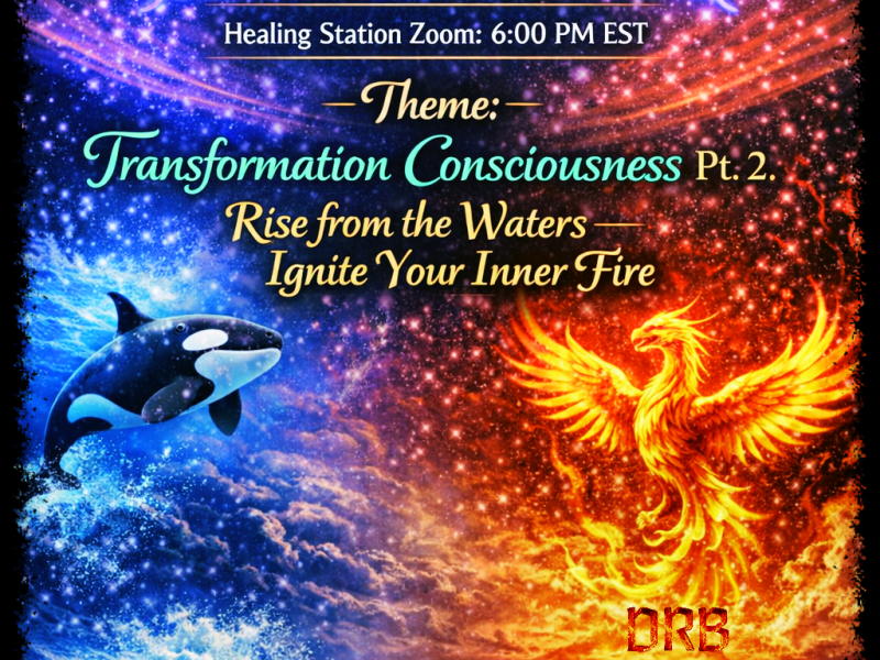 Transformation Consciousness Pt2: Moving from Shamu to the&nbsp;Phoenix